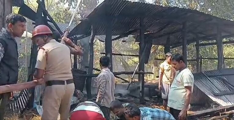 বিধ্বংসী অগ্নিকাণ্ডে পুড়ে ছাই এক কৃষকের বসত ঘর।মাথায় হাত ক্ষতিগ্রস্ত কৃষকের।