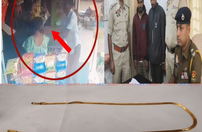 দিন দুপুরে এক মহিলার গলা থেকে স্বর্ণের হার ছিনতাই এর ঘটনায় আটক ২ ছিনতাইবাজ