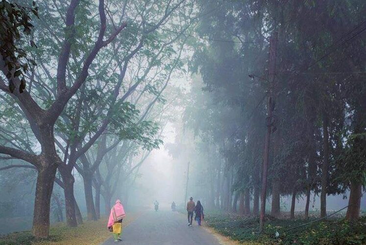 রাজ্যে ও জাকিয়ে পড়বে শীত হাওয়া অফিস সূত্রের খবর।